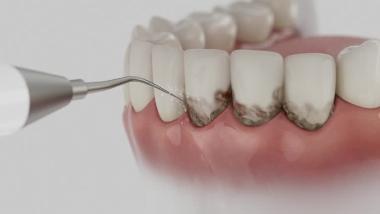 Reliable Dental contractor in Carbon Cliff, IL by Dentist Open Now